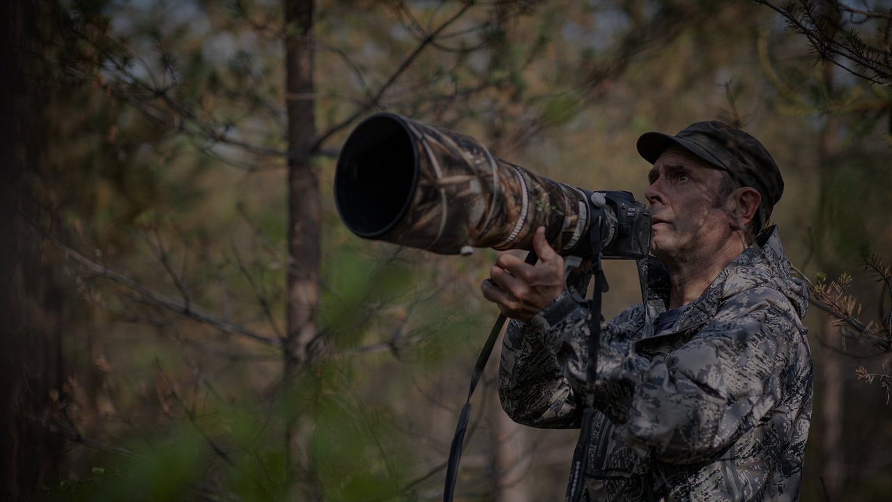 Canon EOS 90D, Ideal for sports and wildlife photography