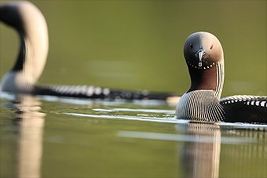 Canon EOS 90D Full Resolution