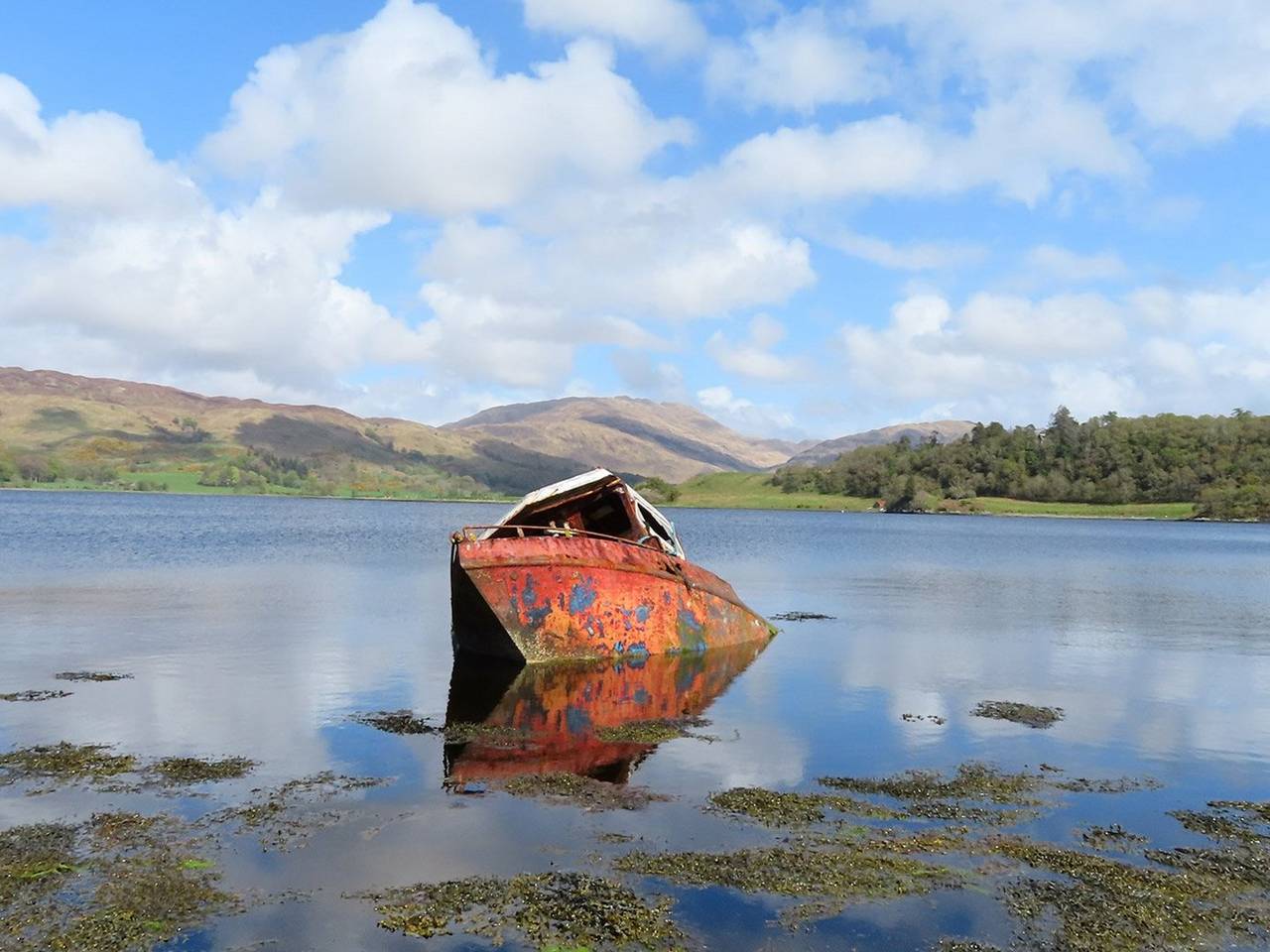 40x zoom in your pocket