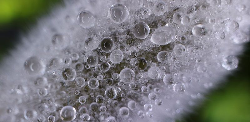 Canon EF-M objektivi