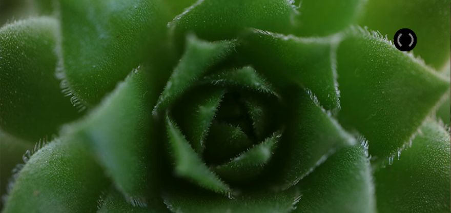 Canon EF-M objektivi