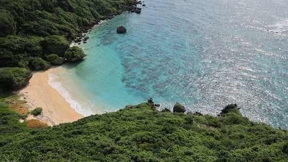 RF 15-30MM F4.5-6.3 IS STM