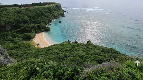 RF15-30mm F4.5-6.3 IS STM