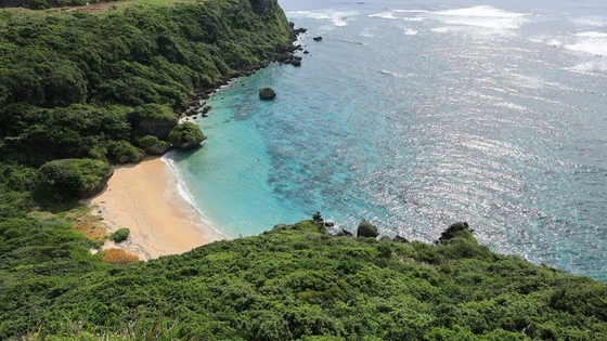 RF15-30mm F4.5-6.3 IS STM