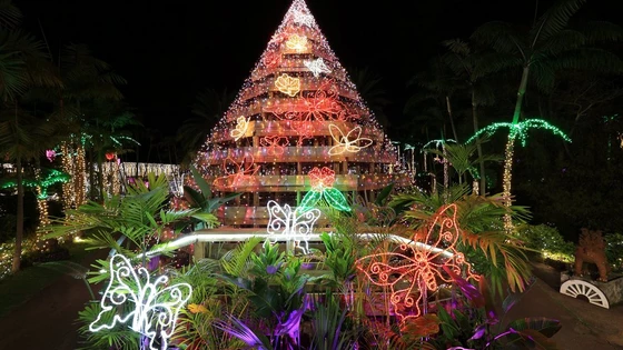 RF15-30mm F4.5-6.3 IS STM