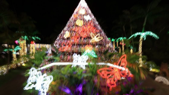 RF15-30mm F4.5-6.3 IS STM