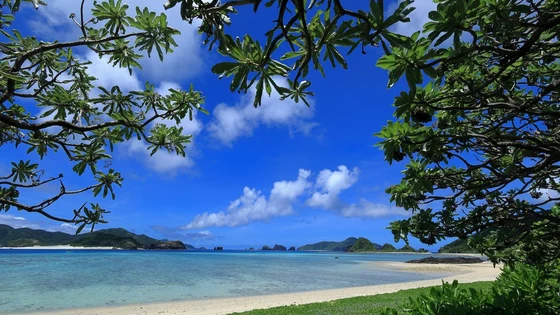 Canon RF 16mm F2.8 STM superb for landscape photography