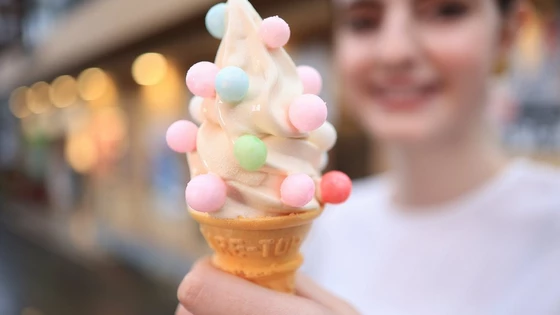 RF24mm F1.8 MACRO IS STM