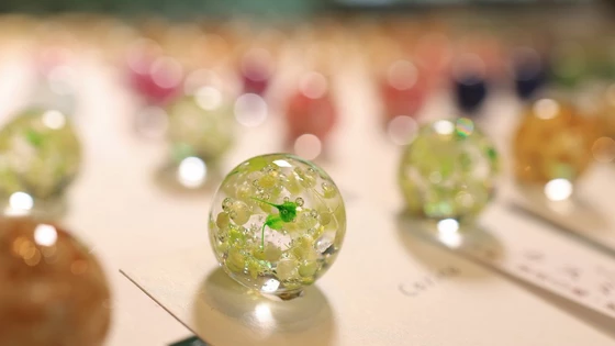 RF24mm F1.8 MACRO IS STM